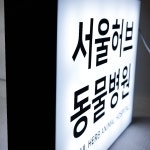 50x40cm 동물 병원 LED 양면 큐브 돌출 간판 간편 설치 무료디자인 마이캘리 : 마이캘리