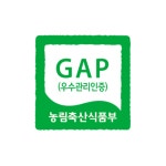 2024년 햇 공주 정안 알밤 2kg 칼집밤 생율 생밤 군밤 옥광밤 대보 : 더 테이블