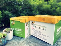 수정벌 수정벌마야 호박벌 뒤영벌 : 수정벌마야