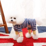 [펫디자인] 배색ST올인원 : 펫디자인