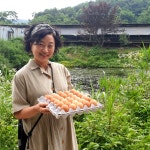안심대안사료 맑은 유정란 20구 30구 40구 계란 날계란 난각번호 무항생제 계란 : 일촌마을