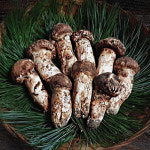 울진금강송 송이 1kg, 500g : 울진송이마켓