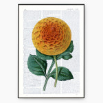 국화꽃그림 노란꽃 식물그림 보타니컬액자 프린팅 실내인테리어 매장 거실 DA264 : 삼영홈데코