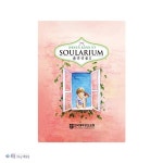 솔라리움2카드 Soularium2 관계전도카드 사진과 질문을 사용하여 마음을 여는 도구 : 복음기독교백화점