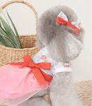 생활 한복 2컬러 사이즈 S-2XL 위드토리 : 마이앨리스독