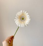 한송이 거베라 조화 인테리어 인조 꽃 장식 실크플라워 : 제이빌라