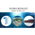 강원도오징어 동해오징어 반건조오징어10마리 : 태파스토어