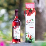 강원평창진이네 생 오미자청 햇 오미자원액 효소 즙 액기스 선물세트 답례품 750ml  1병 : 평창진이네 오미자농장