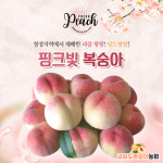 [생산자직접판매] 고당도 백도복숭아 4kg 말랑이, 딱딱이 : 금화도복숭아농장