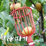 열매 따기 헤드 과수원 정원 감 사과 배 봉굵기 조절 가능 과일피커 : 허브누리