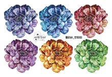 벨리사_판타지 : 아리솔놀이터