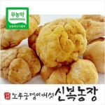 건조노루궁뎅이버섯100g : 신복농장노루궁뎅이버섯