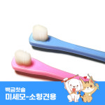 일본직수입 백금칫솔 치약없이 물만 묻혀 사용하는 강아지 애견 입냄세 양치 칫솔 : 미래유통