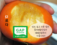 우수 농산물 단감추천 진영단감 5Kg 2L (18-20과) : 진영단감농장 미성농원