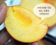 우수 농산물 단감추천 진영단감 5Kg 2L (18-20과) : 진영단감농장 미성농원