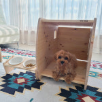 반려동물원목하우스 우드빌드 강아지집 고양이집 : 우리풍성상회