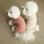 퍼피갤러리 예티 오버롤 M L XL : boldog