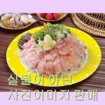 삼식이회 회 음식사진 음식이미지 푸드 요리 음식 요리사진 사진 이미지 맛집 푸드 10169584 : LARVAMEAL