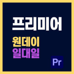 김PD의 프리미어프로 원데이 일대일수업 : 김PD의 영상클래스