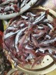 생멸치 회. 손질해서 보내드려요. 생멸치 무침. 생멸치 초무침. 생멸치덮밥. 멸치찌게. 멸치쌈밥. 멸치튀김. 멸치조림. 손질생멸치 : 통영 해물세상
