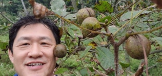 [팔도팜]주 영동 국내산 호두기름 24년산 햇호두오일 영동3대호두농장 3번법제 3무취 무색 무방부제 -2병 : 농업회사법인 팔도팜주식회사