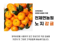 2020년 제주 서귀포 타이벡 노지감귤 천제연 농원 : 천제연농원