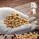 [혼식] 국산 콩 백태 500g / 2025년 : Soul Food-혼식