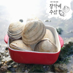 100%국내 자연산 생물 대합 1kg (6-8미) 개조개 /손질조갯살500g  조개 구이 관자 찜 샤브샤브 해물탕 : 장가네수산