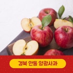 고당도 경북안동 양광 사과 5kg 10kg 20kg : 달콤한제이네