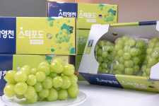 [영천 프리미엄 특등급] 샤인머스켓 2kg : 민생상회