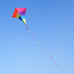 연날리기 대형연 가오리연 캠핑놀이 파워,스턴트카이트 윙글 스포츠 카이트 (kite) : 윙글스토어