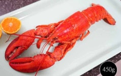 캐나다 자숙 랍스터 600g 1마리 냉동 랍스타 자숙후[400-450g] : 동아씨푸드