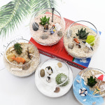 다육 테라리움 만들기 DIY 세트 키트 재료 : 비오스샵