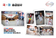[용인대국가대표태권도] 1개월 주 5일 1인 레슨권 : 용인대국가대표태권도