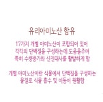 대파비료 장미 마늘 소나무 식물성아미노산 물 영양제 : 우춘상회