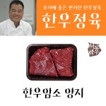 서동한우 요리가 편한 한우암소 양지 600g : 서동몰