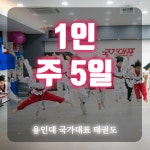 [용인대국가대표태권도] 1개월 주 5일 1인 레슨권 : 용인대국가대표태권도