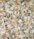 [광천평택새우젓상회]조개젓 1kg : 광천토굴새우젓 평택상회