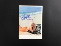 스플래쉬 Splash (1984) 일본판 책자형 영화 팜플렛 영화 브로셔 영화 프로그램북 : Almost 80s