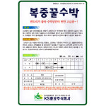 복중꿀 수박 씨앗 10립 고급종 대과 수박씨 종자 키우기 : 스토어 영농사