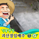 태성절임배추작목반 | 작목반장 괴산 절임배추 20kg 절인배추 : 괴산닷컴