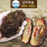 [산지직송] 해녀가 채취한 돌멍게 1kg : 탐라수산