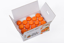 청도 햇반시 5kg : 민생상회
