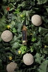 식초보감 곡성멜론 천연발효식초 250ml 자연발효 효능 : 데이원건강