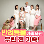 봉담 가족사진 리마인드웨딩 촬영컨셉 스튜디오 추억사진관 수원점 : 수원가족사진 풍차스튜디오