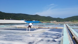 신안천일염 23년산 : 소금마을