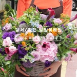 양천구 꽃배달 생화 꽃바구니 플라워바스켓 생화 당일꽃배달 강서구꽃집 : 인생이꽃같네