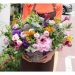 양천구 꽃배달 생화 꽃바구니 플라워바스켓 생화 당일꽃배달 강서구꽃집 : 인생이꽃같네