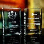 [8x12x3cm] 3D 레이저 인물 기념패 감사패 상패 문진 : 크리스타일