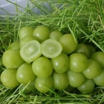 완숙 샤인머스켓  망고포도 3kg (3~5수) : 별빛촌농장